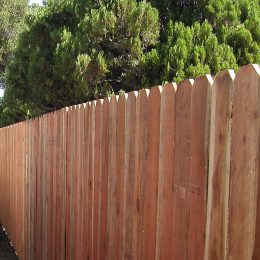 Dog Eared Redwood